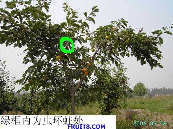 PICT3488.JPG
