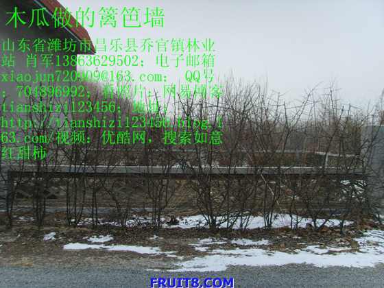 SSL20002.JPG