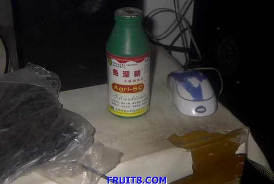 IMAG0170.JPG