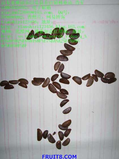 SSL20034.JPG