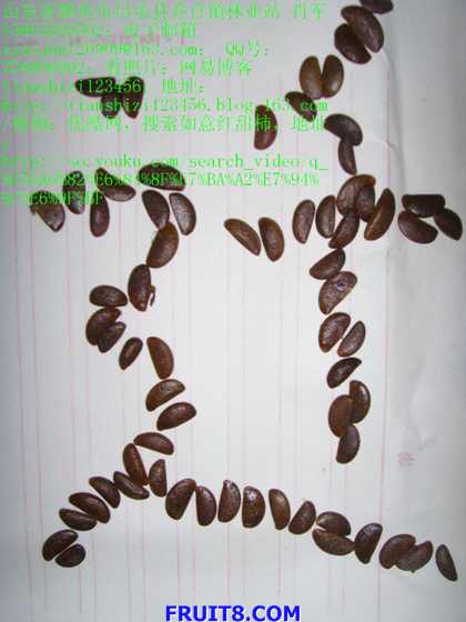SSL20033.JPG