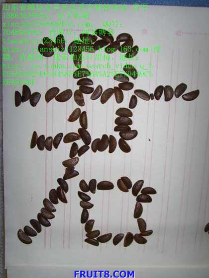 SSL20035.JPG