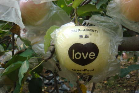 ƻʱȥֽ.jpg