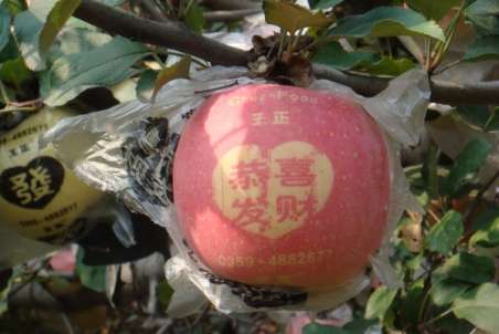 ƻɫЧ ͼ-2.jpg