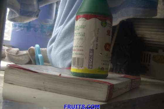 Ƭ 006.jpg