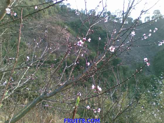 Ƭ 023.jpg