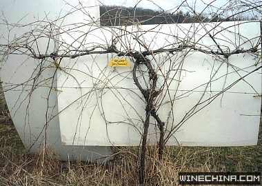 200711111954564909[1].jpg