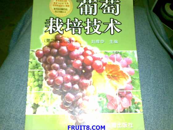 20090221_057.jpg