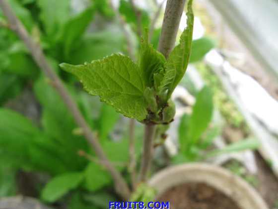 ��Ƭ 067.jpg