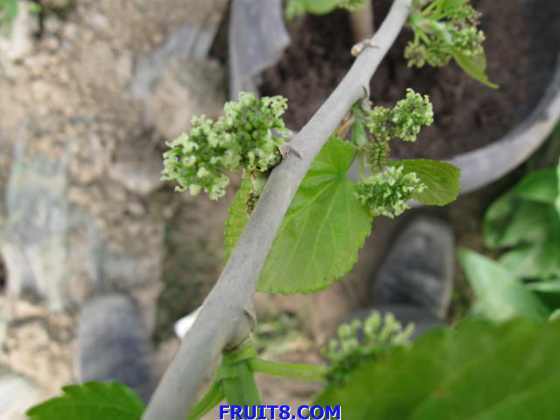 ��Ƭ 034.jpg