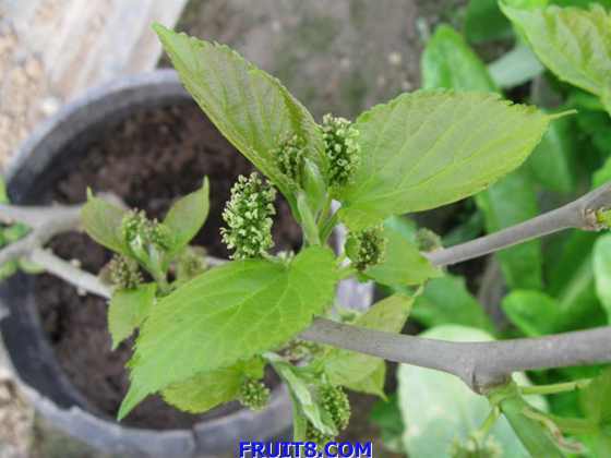 ��Ƭ 038.jpg