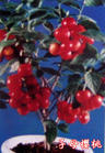 86dd626c91.jpg