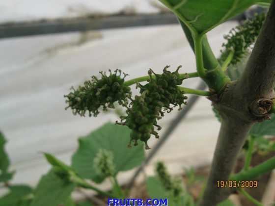 ��Ƭ 029.jpg