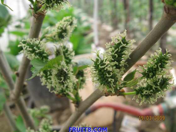 ��Ƭ 031.jpg