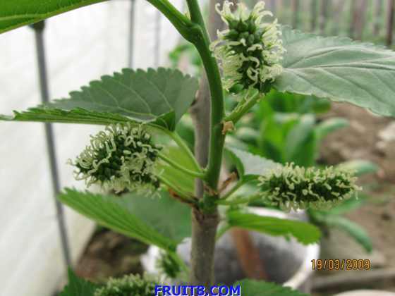 ��Ƭ 027.jpg