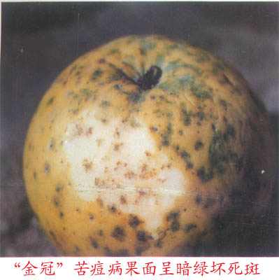 c301.jpg