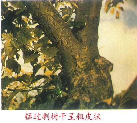 c407.jpg