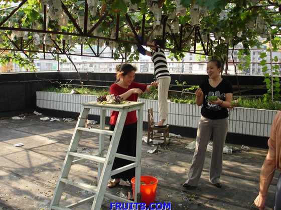 С СԲͼƬ 009.jpg