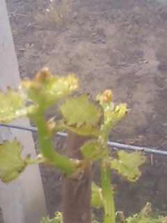 28-03-09_0817.jpg