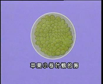 ͼƬ1.jpg
