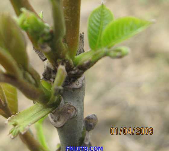 ��Ƭ 087.jpg