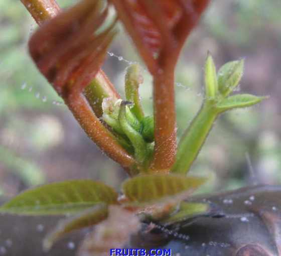 ��Ƭ 016.jpg