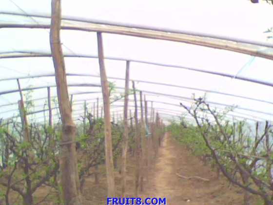 IMG0344A.jpg