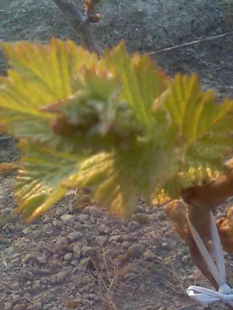 09-04-09_1735.jpg