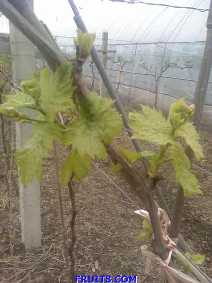 16-04-09_1056.jpg