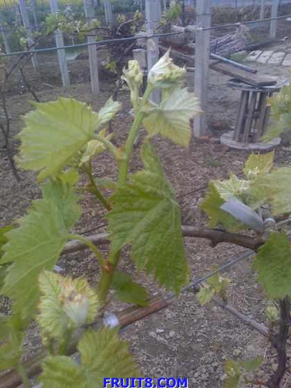 16-04-09_1101.jpg