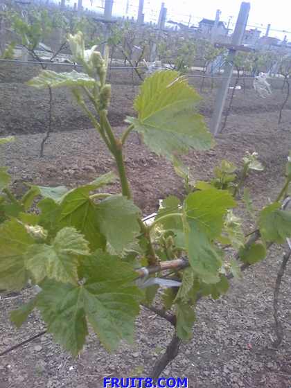 16-04-09_1105.jpg