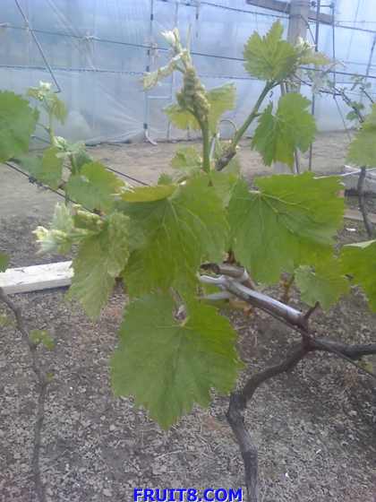 16-04-09_1106.jpg