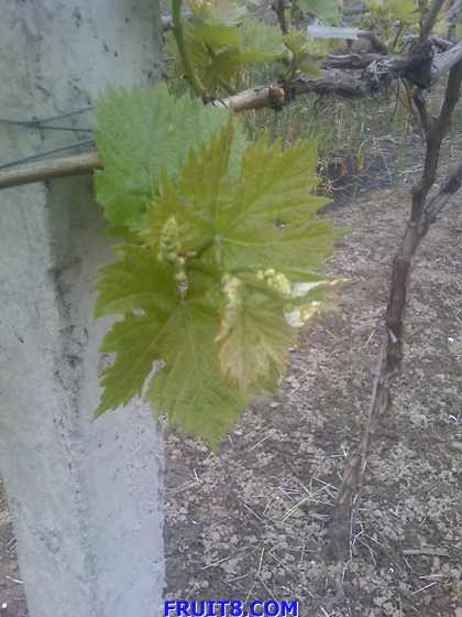16-04-09_1148.jpg