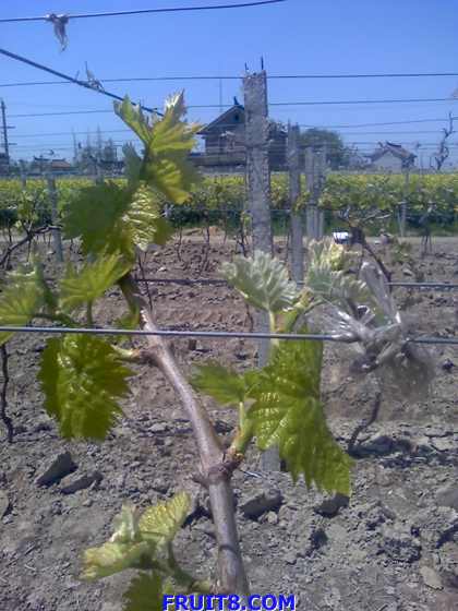 17-04-09_1110.jpg