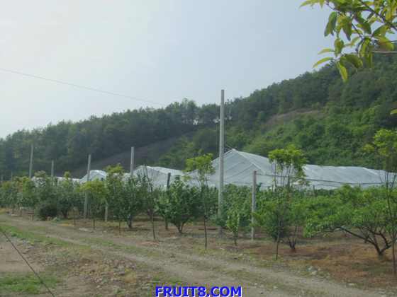 DSCF0789_.JPG