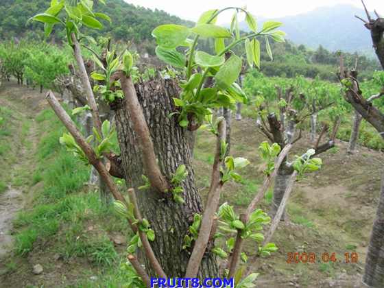 DSCN5226.JPG