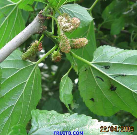 ��Ƭ 056.jpg
