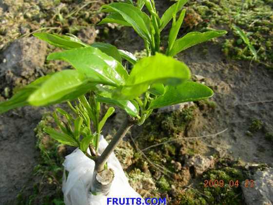 DSCN5437.JPG