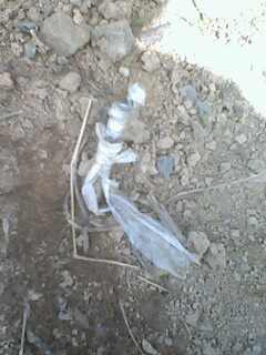 IMG0285A.jpg