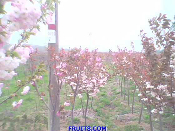 IMG0149A.jpg