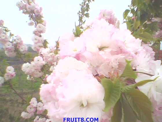 IMG0148A.jpg
