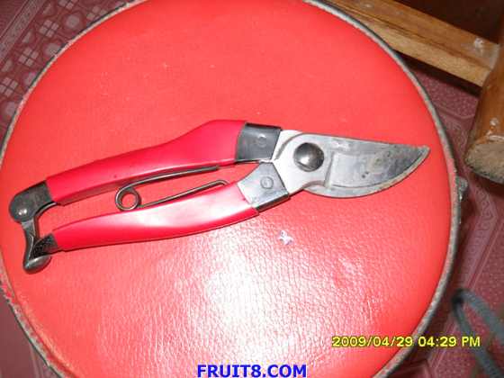SDC10009.JPG