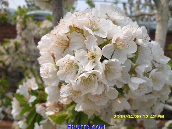 SDC10014.JPG