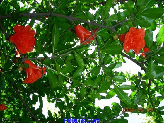 DSCN5883.JPG