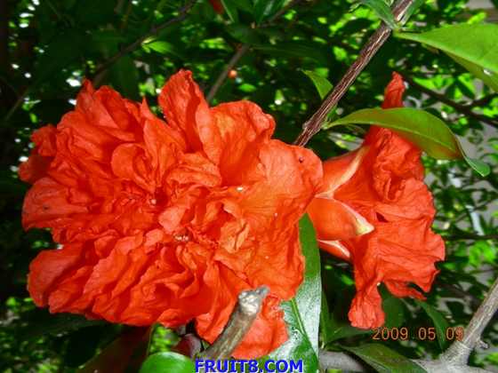 DSCN5879.JPG