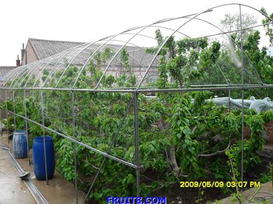 SDC10045.JPG