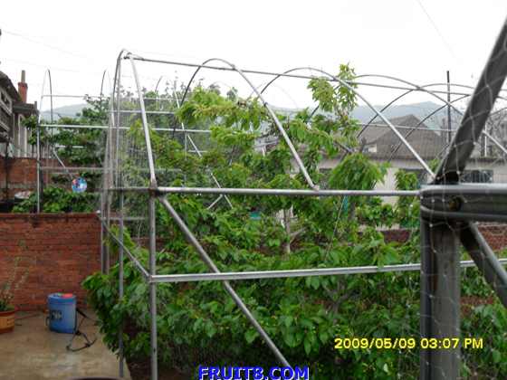 SDC10046.JPG