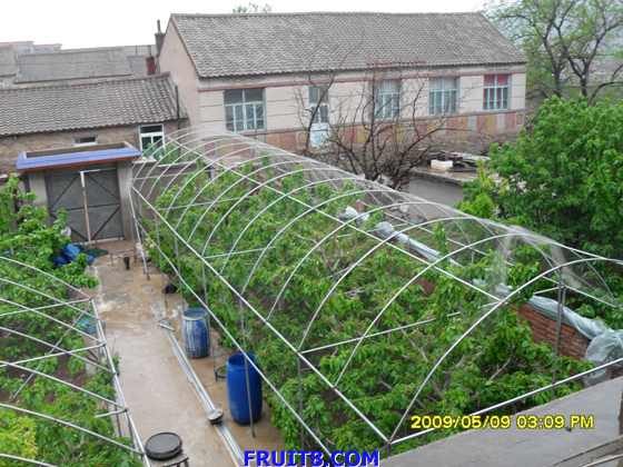 SDC10047.JPG