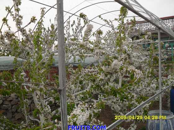 SDC10006.JPG