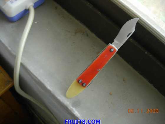 DSCN8815.JPG